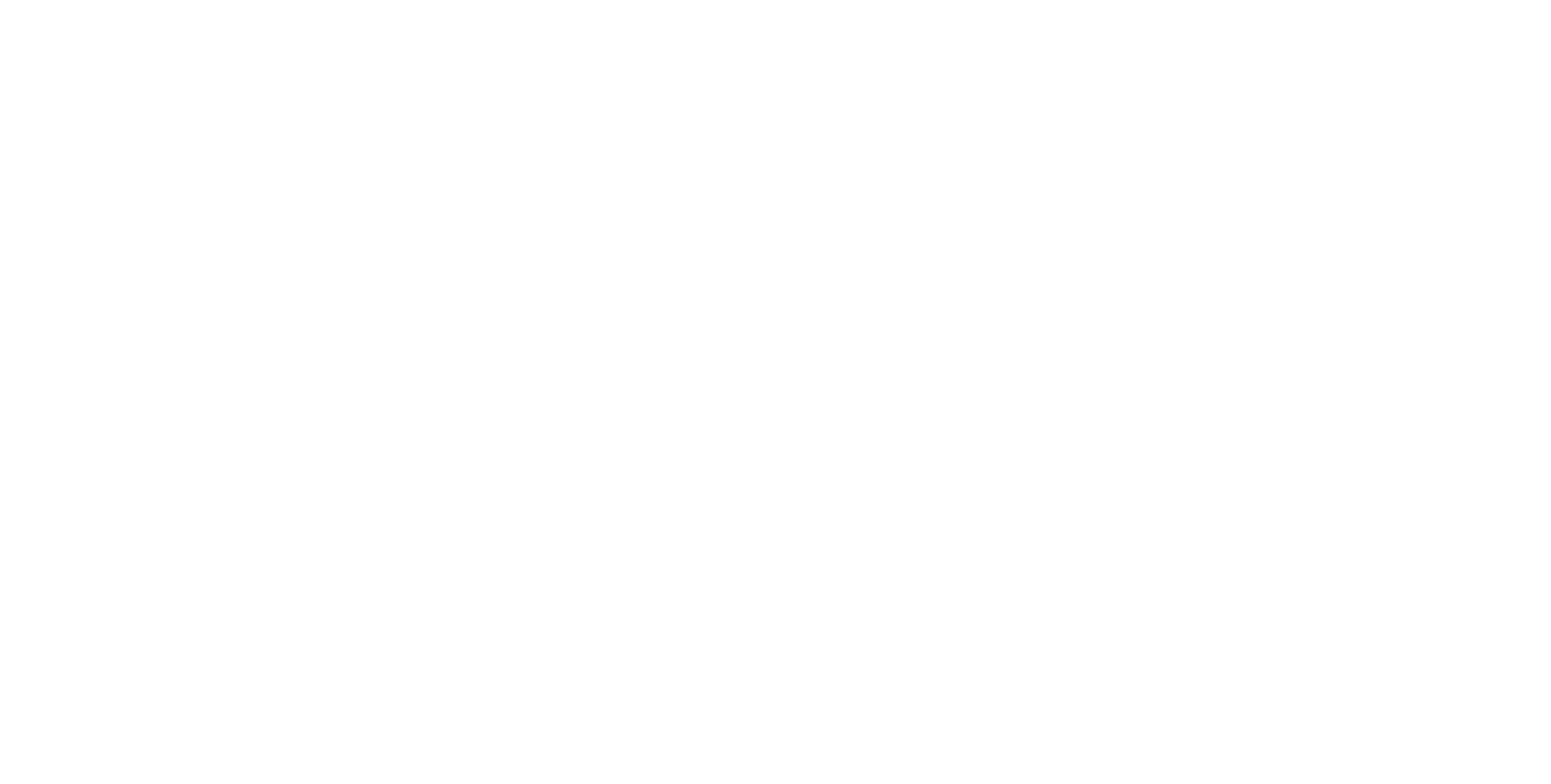 Logo blanc EXO NOVA sans baseline